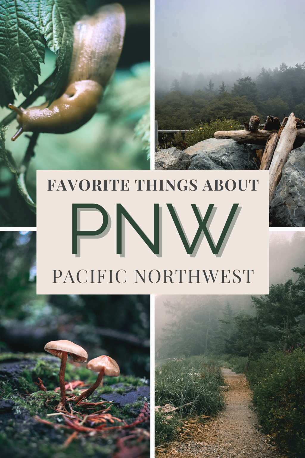 Favorite Things to Do in the Pacific Northwest